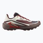 Scarpe da corsa uomo Salomon Genesis 2 vanilla ice/iron