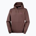 Felpa da corsa uomo Salomon Shortney Hoodie shopping bag