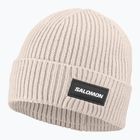 Cappello invernale Salomon Classic silver cloud