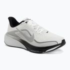 Scarpe da corsa uomo Nike Pegasus 42 summit white/metallic silver-photon dust
