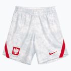 Pantaloncini da calcio da uomo Nike Dri-Fit Poland Stadium Home white/field silver