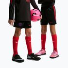 Pantaloncini da calcio per bambini Nike Paris Saint-Germain Strike black/hyper royal/global red/global red