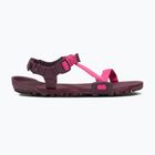 Sandali barefoot da donna Xero Shoes Z-Trail EV fuchsia purple