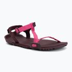 Sandali barefoot da donna Xero Shoes Z-Trail EV fuchsia purple