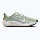 Scarpe da running da uomo Nike ACG Pegasus Trail jade horizon/light silver/phantom