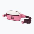 Marsupio Columbia Trail Traveler Hip sea salt/rosette/moonvista