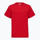 Maglietta da uomo Columbia CSC Basic Logo Back Tee mountain red/linework c badge