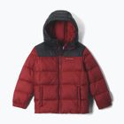 Giacca imbottita per bambini Columbia Puffect Hooded Red Oxide/Black