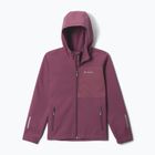 Giacca softshell per bambini Columbia Ascender Hooded Softshell antique mauve