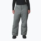 Pantaloni da sci da donna Columbia Bugaboo III sedona sage