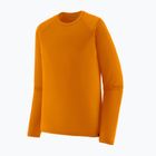 Felpa termica uomo Patagonia Capilene Thermal Weight Crew autumn orange