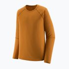 Felpa termica uomo Patagonia Capilene Midweight Crew cinnamon brown
