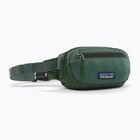 Marsupio cintura Patagonia Terravia Mini Hip canopy green