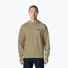 Felpa da uomo Patagonia Daily Hoody weathered stone