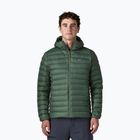 Piumino uomo Patagonia Down Sweater Hoody treeline green