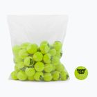 Babolat Gold Academy Palline da tennis Borsa 72 pezzi.
