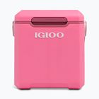 Frigorifero portatile Igloo Tag Along Too Highrise 18 l pink