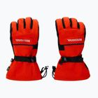 Guanti da sci da uomo Rossignol Action R-Shell Dry golden gate