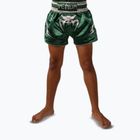 Pantaloncini da allenamento per bambini Venum Inferno Muay Thai forest green/off white