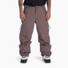 Pantaloni da snowboard DC Squadron 30K prugna tartufo da uomo