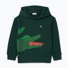 Felpa Lacoste da bambino SJ2561 sinople