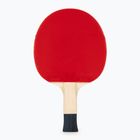 Racchetta da tennis da tavolo Butterfly Timo Boll SG11