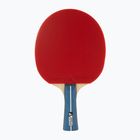 Racchetta da tennis da tavolo JOOLA Taem Premium