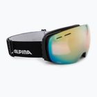 Occhiali da sci Alpina Granby QV nero opaco/oro sph