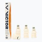 Volani da badminton VICTOR Goldmaxima 12 pezzi