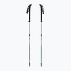 Bastoncini da trekking LEKI Makalu FX TA silver/greygreen/white