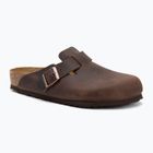 BIRKENSTOCK Boston LEOI Infradito habana regular