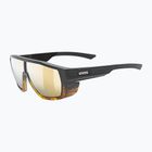 Occhiali da sole UVEX Mtn Style CV havanna matt fade/mirror champagne