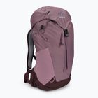 Zaino da trekking da donna deuter AC Lite 14 l SL grape aubergine
