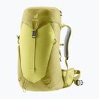 Zaino da trekking da donna deuter AC Lite 22 l SL sprout/linden