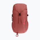 Zaino da trekking per bambini Deuter Climber 22 l sequoia/hibiscus