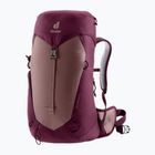 Zaino da trekking da donna deuter AC Lite 22 l SL ashrose-cassis