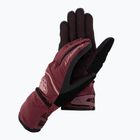 Guanti da sci DYNAFIT Mercury DST bordeaux
