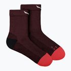 Calze da uomo Salewa MTN TRN AM syrah
