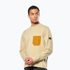 Felpa da uomo Salewa Fanes Dry Pullover quicksand