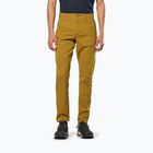 Pantaloni da trekking da uomo Salewa Fanes Marrone chiaro dorato