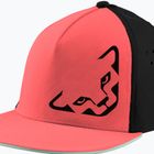 Berretto da baseball DYNAFIT Tech Trucker cabana