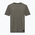 T-shirt Salewa Eagle Logo Patch Uomo 5A50 verde sbiadito