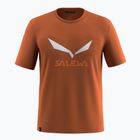 T-shirt uomo Salewa Solidlogo Dry bombay brown