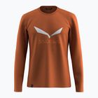 Maglia a maniche lunghe da uomo Salewa Solidlogo Dry bombay brown