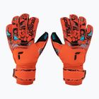 Guanto da portiere Reusch Attrakt Gold X Evolution Cut Finger Support rosso brillante/blu futuro/nero