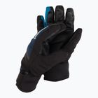 Guanto da sci Reusch Blaster Gore-Tex dress blu/nero