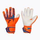 Guanti da portiere Reusch Attrakt Freegel Advance shocking orange/blue