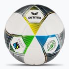 ERIMA Hybrid Eco calcio argento/navy taglia 5