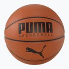 PUMA Basket Top pelle marrone / nero taglia 7