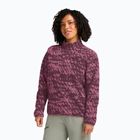 Felpa da trekking donna Jack Wolfskin Big Sky Half Zip raisin